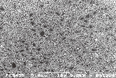 [写真] クリアフィルフローFX硬化物のFE-SEM像（×3,000）