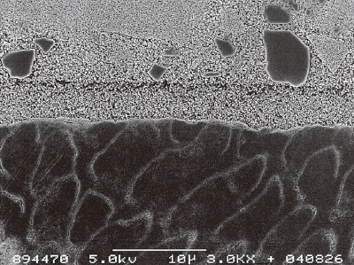[写真] トライエスボンドのヒトエナメル質とのアルゴンイオンエッチングを施した接合界面の様相のSEM像（×3,000）