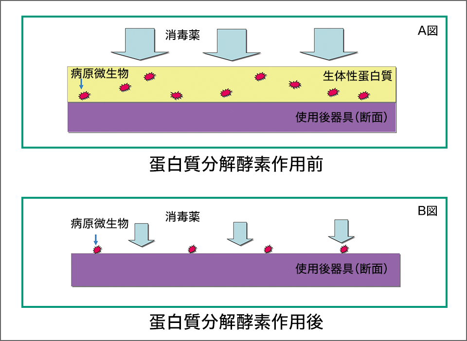 図3　汚染器具からの蛋白質除去の効果