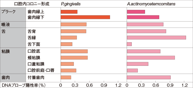 口腔内細菌貯蔵庫の P.gingivalis と A.actinomycetemcomitansのグラフ